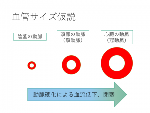 糖尿病による性機能障害の原因と治療 帝京大学泌尿器科アンドロロジー診療